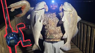 Pier Fishing for MONSTER Black drum, with SMALL fishing rods! (Rockport Tx)