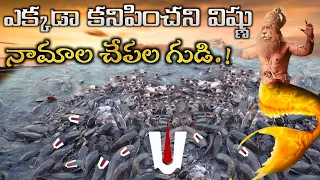 చేప అవతారంలో వెలిసిన లక్ష్మీ నరసింహ స్వామి| Matsyagiri Lakshmi Narasimha Swamy temple in Vemulakonda