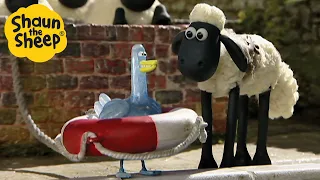 Shaun the Sheep 🐑 The Ice Bath 🥶🧼 Full Episodes Compilation [1 hour]