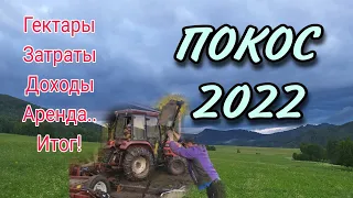 Сколка я заработал на сено??!! Итоги покоса 2022