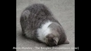 Manic Monday - The Bangles cover - Zunapalooza