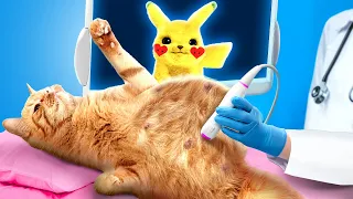 Ma chatte est enceinte d'un Pokemon ? Astuces pour maîtres d'animaux et femmes enceintes de Coolala