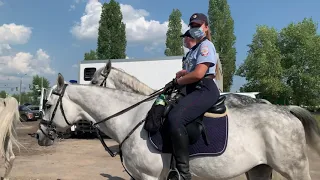 Конная полиция 👮🏽‍♀️ 🐎