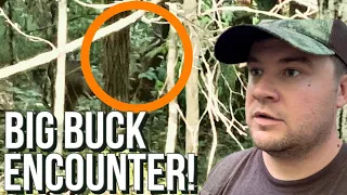 Encounter with a BIG WV BUCK! MUST WATCH TILL THE END!
