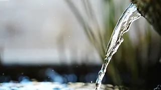 Water Sounds, Water drawing into a pod. 4K