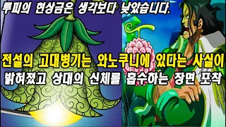 전설의 고대병기는 와노쿠니에 있다는 사실이 밝혀졌습니다. 료쿠규는 상대의 신체를 흡수하는 소름돋는 기술을 보여줍니다.