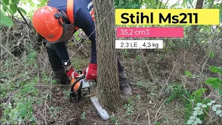 Stihl MS211 az akácosban