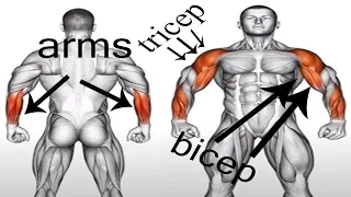 9 Best Exercises For Forearms  "That BLEW UP My Arms"