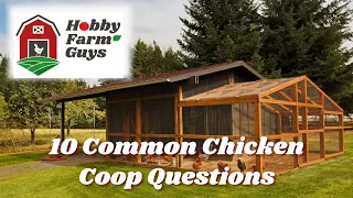 10 Common Chicken Coop Questions Answered!