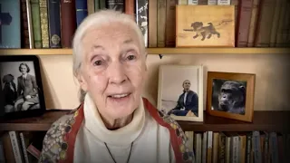 Every day you live, you impact the planet | Jane Goodall