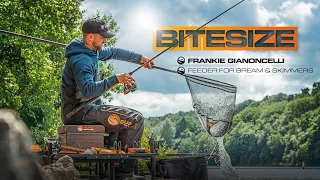 Bream Feeder Fishing Tips | Guru Bitesize #028