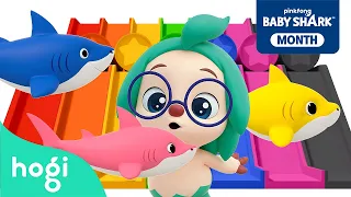 Colorful Slide (Baby Shark ver.) + More｜Learn Colors for Kids｜Hogi Colors｜Colors Songs｜Hogi Pinkfong