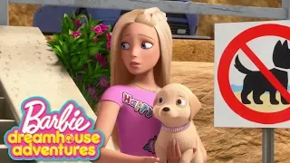 Los perros van a la playa | Barbie Dreamhouse Adventures | @BarbieenCastellano