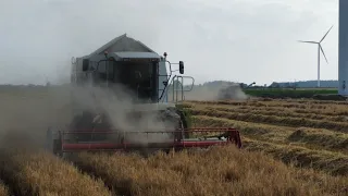 🔥Dwa Kombajny Na Jednym Polu🔥ŻNIWA 2023 Z SKR KOŹMIN🔥2x Claas, 2x John Deere🔥