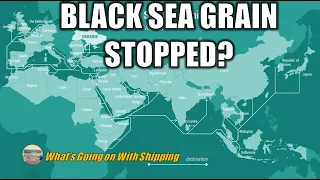 What Happens If Russia Withdraws From the United Nation Black Sea Grain Initiative?