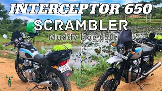 Modified Interceptor 650 SCRAMBLER | The Muddy Hog 650