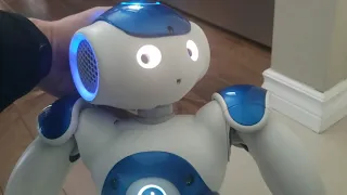 Nao Robot follow me command with ben