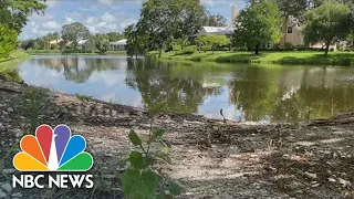 Elderly Florida Woman Dies After Alligator Attack