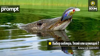 Выбор воблера. Тихий или шумящий? Алексей Шанин. Anglers Prompt