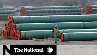 B.C.’s Trans Mountain legal challenge dismissed, appeal promised