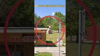 I found giant pink bunny in real on google earth #shorts #viralvideo