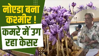 इंजीनियर ने नोएडा को बनाया कश्मीर, बंद कमरे में उगा रहा केसर | Saffron Farming | Kisan Tak