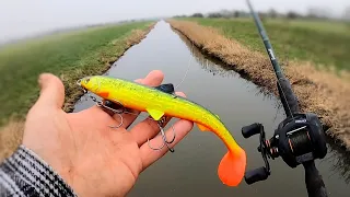 Pike fishing with the Westin Bullteez! 10inch swimbait