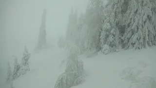 Славське   Захар Беркут. Ціни, траси, доїзд. 29.12.2018