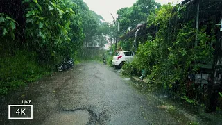 Heavy Rain Walks Compilation | ASMR that will Make you Fall Asleep | Rainy Day in Indian Village