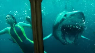 '47 Meters Down: Uncaged' Trailer