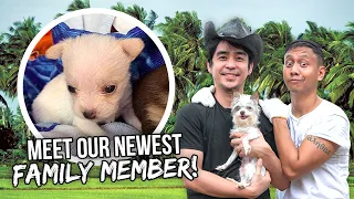 Meet Our New PUPPY # 2 | Vlog #1141