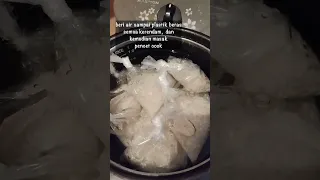 Bikin Ketupat  Plastik dengan Rice Cooker (menggunakan plastik yang tahan panas ya gaess)