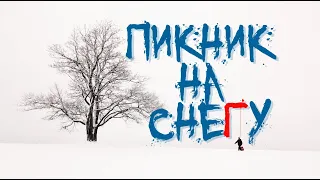 Пикник на снегу (короткометражный фильм 18+)