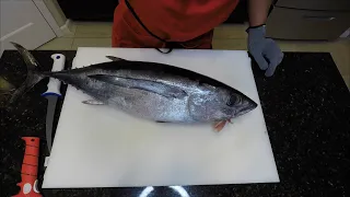 How to fillet (loin out) an ALBACORE TUNA! Big Shticks!!