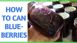 How to Can Blueberries ~Easy Method