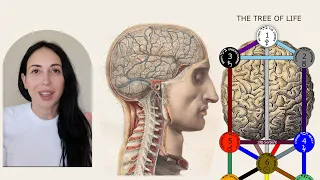 Your Genius Self- Left and Right Brain accourding to Kabbalah | Chochma& Bina