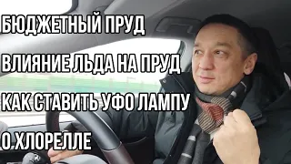 Ответы на вопросы. Бюджетный пруд, влияние льда на пруд, куда ставить УФО лампу, о хлорелле