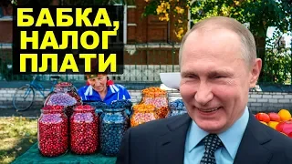 Контроль над сбором ягод и грибов в лесу