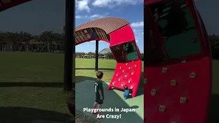 Playgrounds in Japan are Crazy!