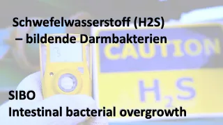 Bakterielle Dysbiose (SIBO) durch Schwefelwasserstoff (H2S)-bildende Darmbakterien