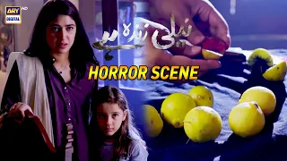 Kala Mout Ka Aur Laal Khoon Ka Begum Sahab | Horror Scene | Neeli Zinda Hai | Must Watch