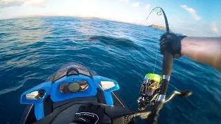 Jet ski Fishing Australia - Sharks Everywhere