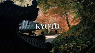 Kyoto Autumn - Japan / 京都秋