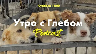 ☀️ УТРО С ГЛЕБОМ - Островок спокойствия - 2 июля