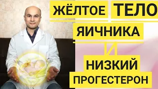 Желтое тело яичника. Улучшить качество и повысить прогестерон.