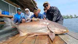 Giant Mekong Catfish and Siamese Carp Fishing Thailand - 2023- BKKGUY