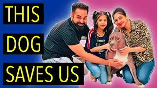 This Dog Saves Us | Story of Brody | Harpreet SDC