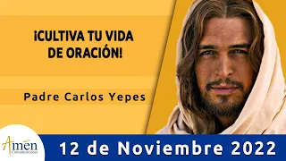 Evangelio De Hoy Sabado 12 Noviembre 2022 l Padre Carlos Yepes l Biblia l  Lucas 18,1-8 l Católica