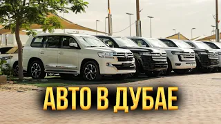 Авто из Дубаи – ДЕШЕВЛЕ, чем из США? Как КЫРГЫЗЫ делают бизнес в ОАЭ