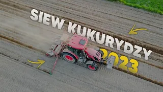 SIEW KUKURYDZY NOWYM NABYTKIEM!//ZETOR//UNIA DELTA 4K//